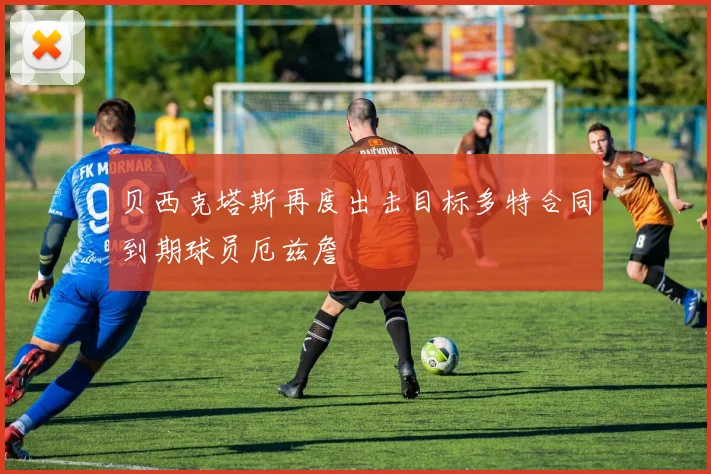 贝西克塔斯再度出击目标多特合同到期球员厄兹詹